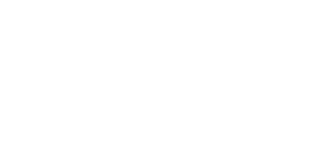 Geomonte