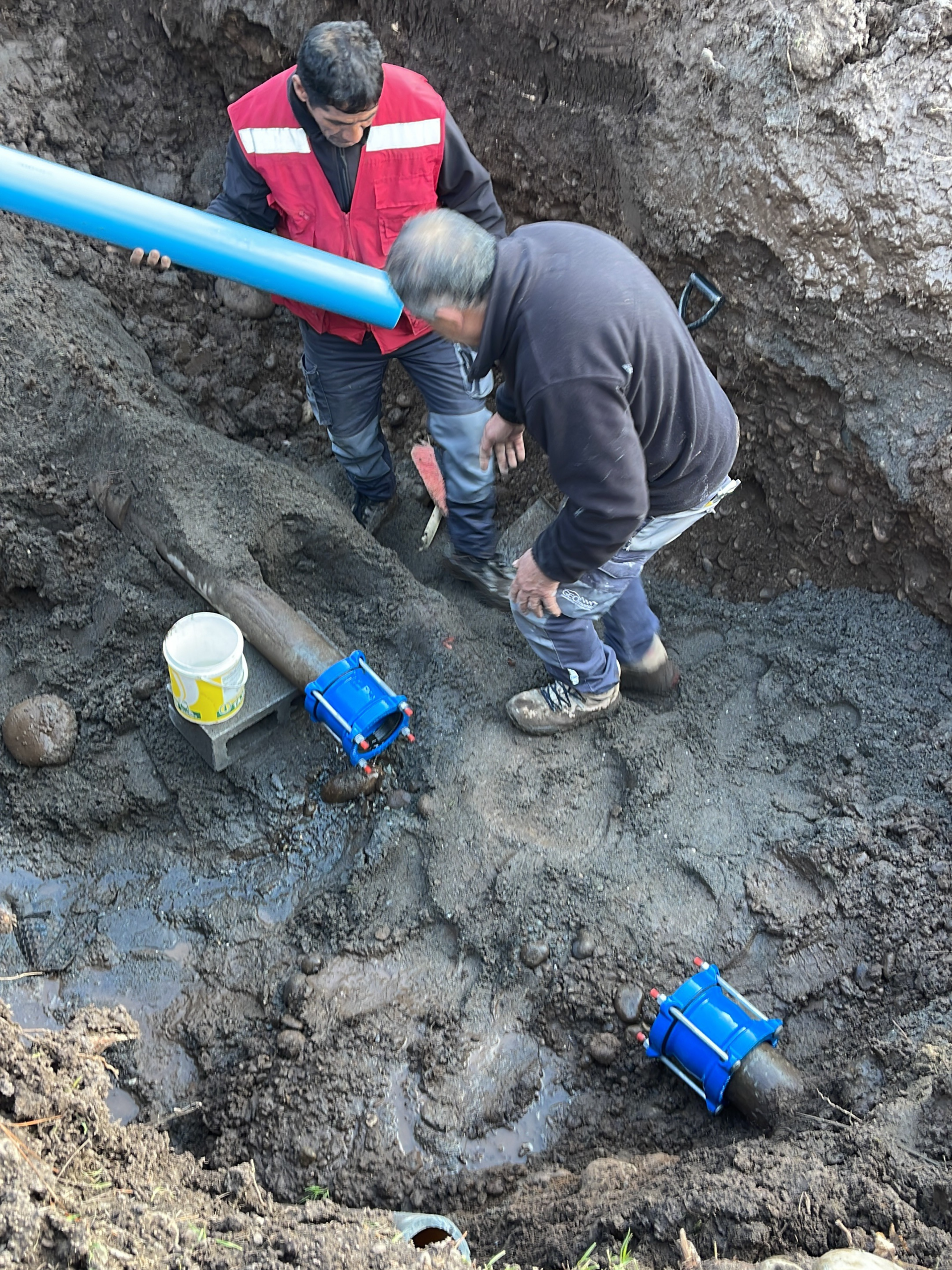 Diseño sin título (46)